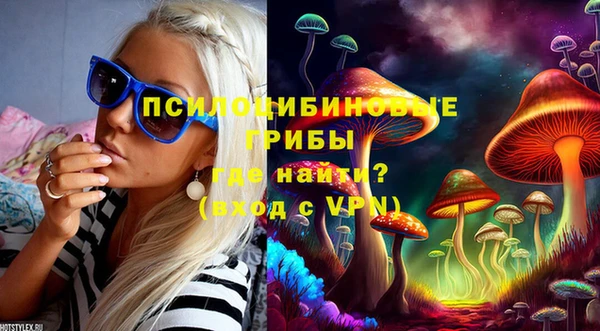 круглые Аркадак