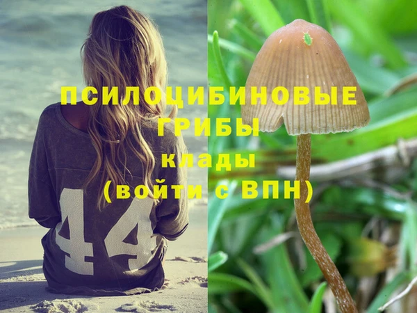 шишки Алзамай