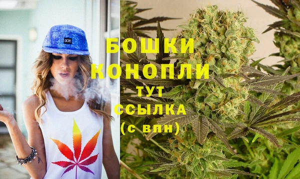 дживик Арсеньев