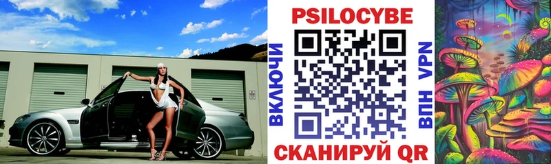 купить закладку  Арск  Псилоцибиновые грибы мицелий 